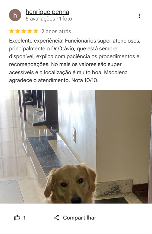 Print de avaliação no Google 11