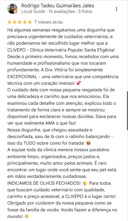 Print de avaliação no Google 4