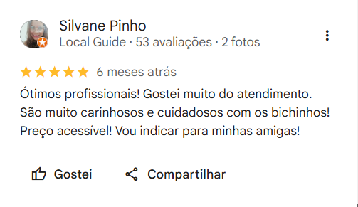 Print de avaliação no Google 5