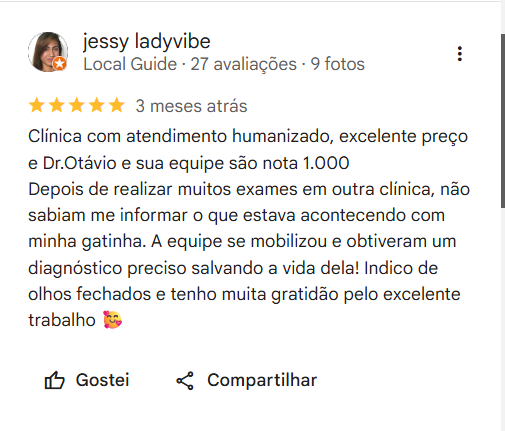 Print de avaliação no Google 2